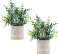 2 Pack Small Fake Plants